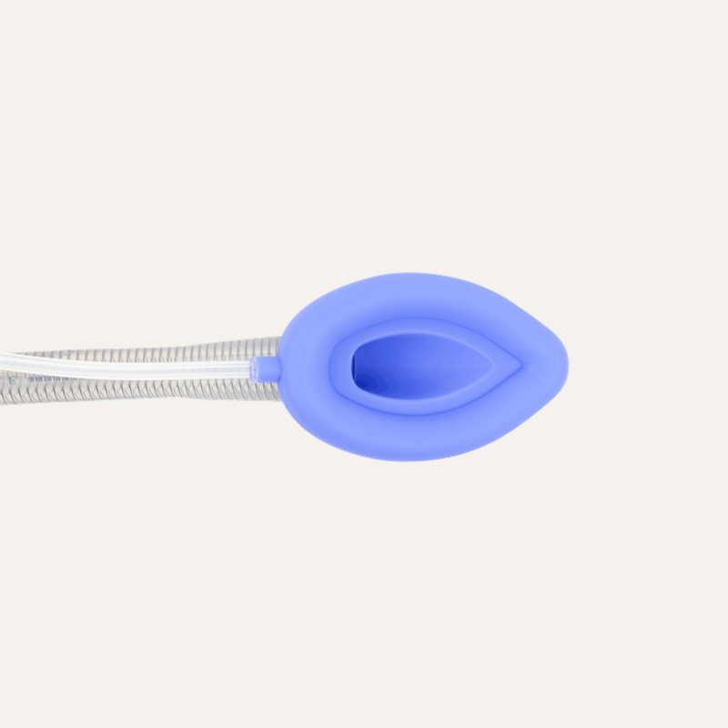 z-Laryngeal_Mask_Airways_36288_laryngeal-mask-airway_mask-close-up_72dpi_gc0u2d